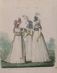 Robes du matin, figs. 16