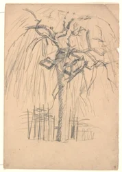 Un arbre