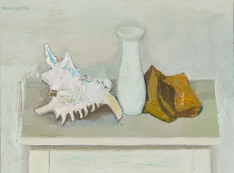 Nature morte avec coquillage