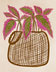 Plante en pot colorée