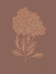 Fleur botanique rustique