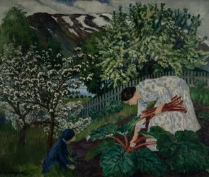 Rhubarbe