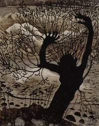 Nuit de printemps et saule