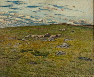 Moutons en pâturage