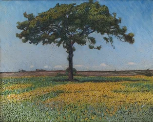 Jeune chêne