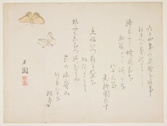 (Papillons)
