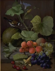 Nature Morte avec Fruits et Chardonneret