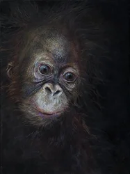 Bébé orang-outan 3, 2015 (acrylique sur bois)