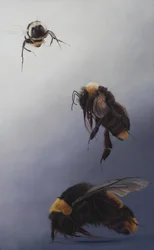 Bombus vol 2, 2011 (acrylique sur bois)