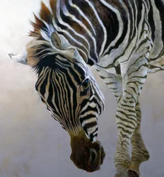 Equus burchelli 2 (détail), 2010 (acrylique sur toile)