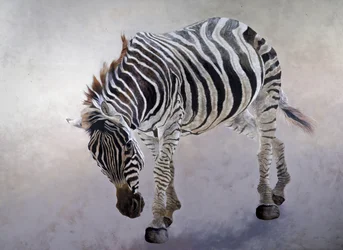 Equus burchelli 2, 2010 (acrylique sur toile)