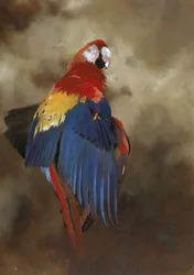 Ara rouge 1, 2000 (acrylique sur lin)