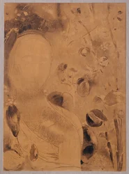 Fleurs et visage (fusain sur papier)