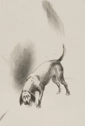 Il [le chien du narrateur] gardait les yeux fixés sur moi avec un regard si étrange, planche 3 de 6