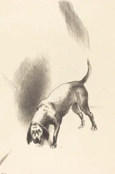 Le Chien