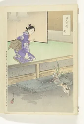 Orchidée
