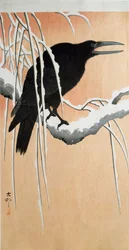 Un corbeau sur une branche enneigée