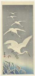 Aigrettes descendant dans la neige