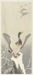 Canard sur une souche enneigée