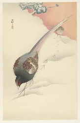 Couple de faisans dans la neige