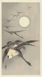 Oies sous la pleine lune