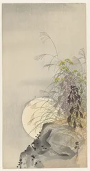 Herbes sous la pleine lune