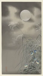 Herbes et fleurs sous la pleine lune