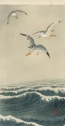 Mouettes en mer