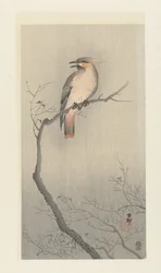 Oiseau japonais sur une branche