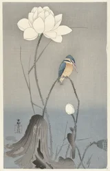Martin-pêcheur avec fleur de lotus