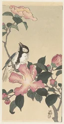 Mésange sur une branche avec des fleurs roses