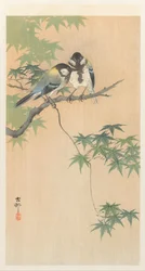 Mésanges charbonnières sur une branche d