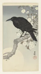 Corbeau sous la pleine lune