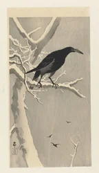 Corbeau sur une branche enneigée