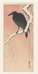 Corbeau sur une branche enneigée