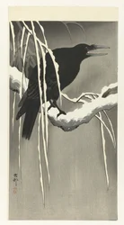 Corbeau sur une branche enneigée