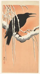 Corbeau sur une branche enneigée