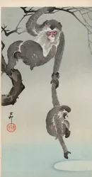 Singe et bébé atteignant le reflet de la lune