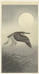 Héron sous la pleine lune