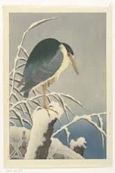 Héron dans la neige