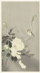 Hirondelle avec pivoine