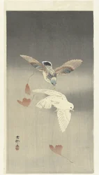 Deux pigeons avec des feuilles de ginkgo tombantes