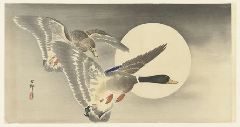 Deux canards avec pleine lune