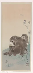 Deux singes avec un papillon