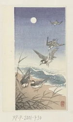 Oiseaux sous la pleine lune