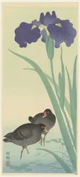 Poulettes d