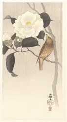 Oiseau chanteur et camélia en fleurs