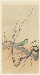 Oiseau chanteur et fleur de prunier