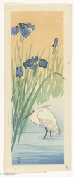 Aigrette