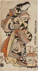 Une dame élégante